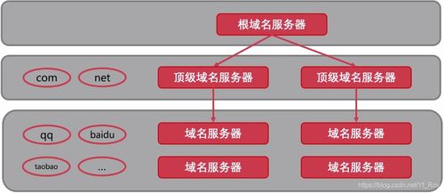計算機網絡信息管理與服務 構筑數字時代的神經系統